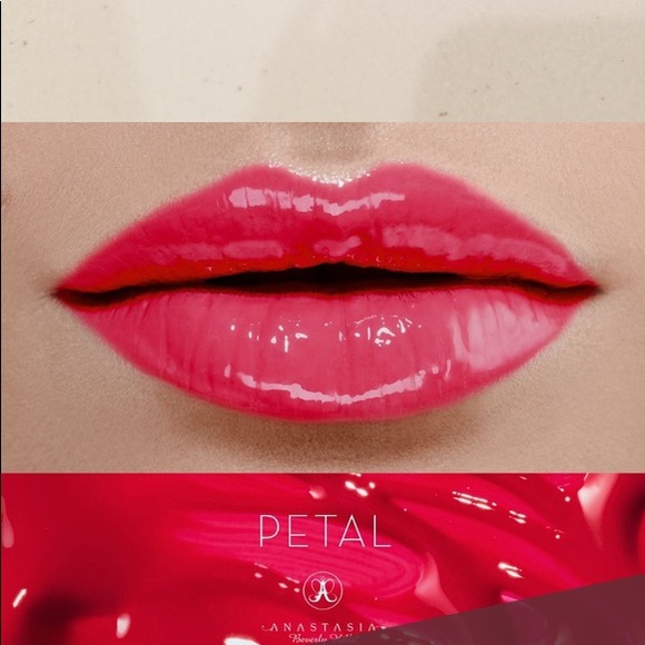 Anastasia Beverly Hills Other - Anastasia Beverly Hills liquid lipgloss